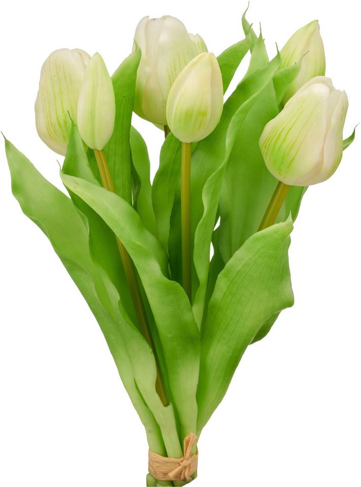 Kunsttulpe Tulpenbund, Creativ green, Höhe 31 cm, in schöner Farbe – Bild 2 von 2