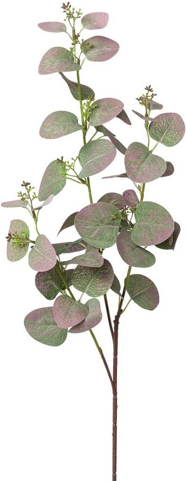 Kunstzweig Eukalyptuszweig Eukalypthus, Creativ green, Höhe 72 cm – Bild 2 von 3