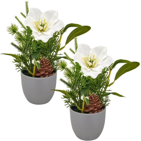 Winterliche Kunstpflanze Arrangement mit Christrose, Creativ green, Höhe 18 cm, mit Tannenzweigen und Zapfen