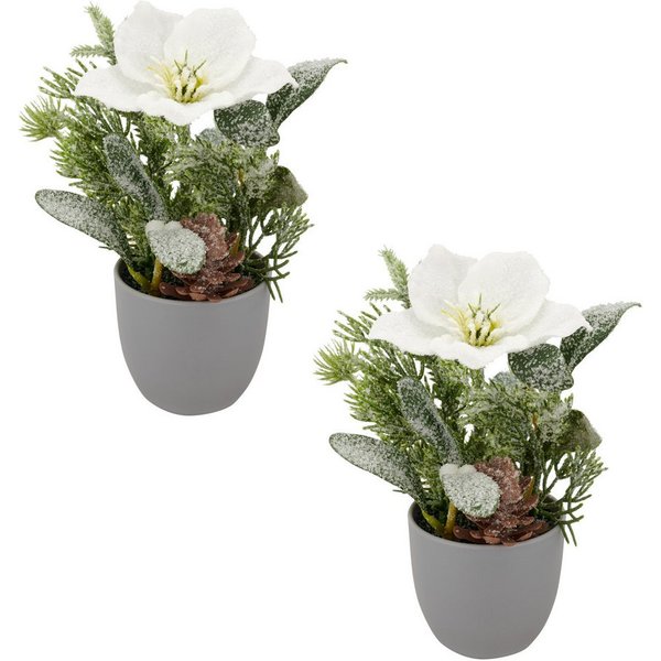Winterliche Kunstpflanze Arrangement mit Christrose, Creativ green, Höhe 23 cm, mit üppiger Blütenpracht