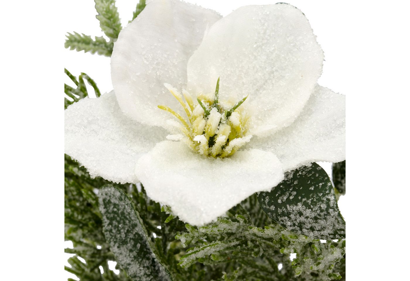 Winterliche Kunstpflanze Arrangement mit Christrose, Creativ green, Höhe 23 cm, mit üppiger Blütenpracht – Bild 3 von 3