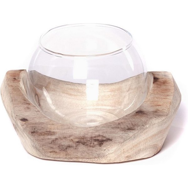 CREEDWOOD Windlicht Wurzelholz Windlicht "NURIA", mit Glaseinsatz, Vase, Kerzenhalter