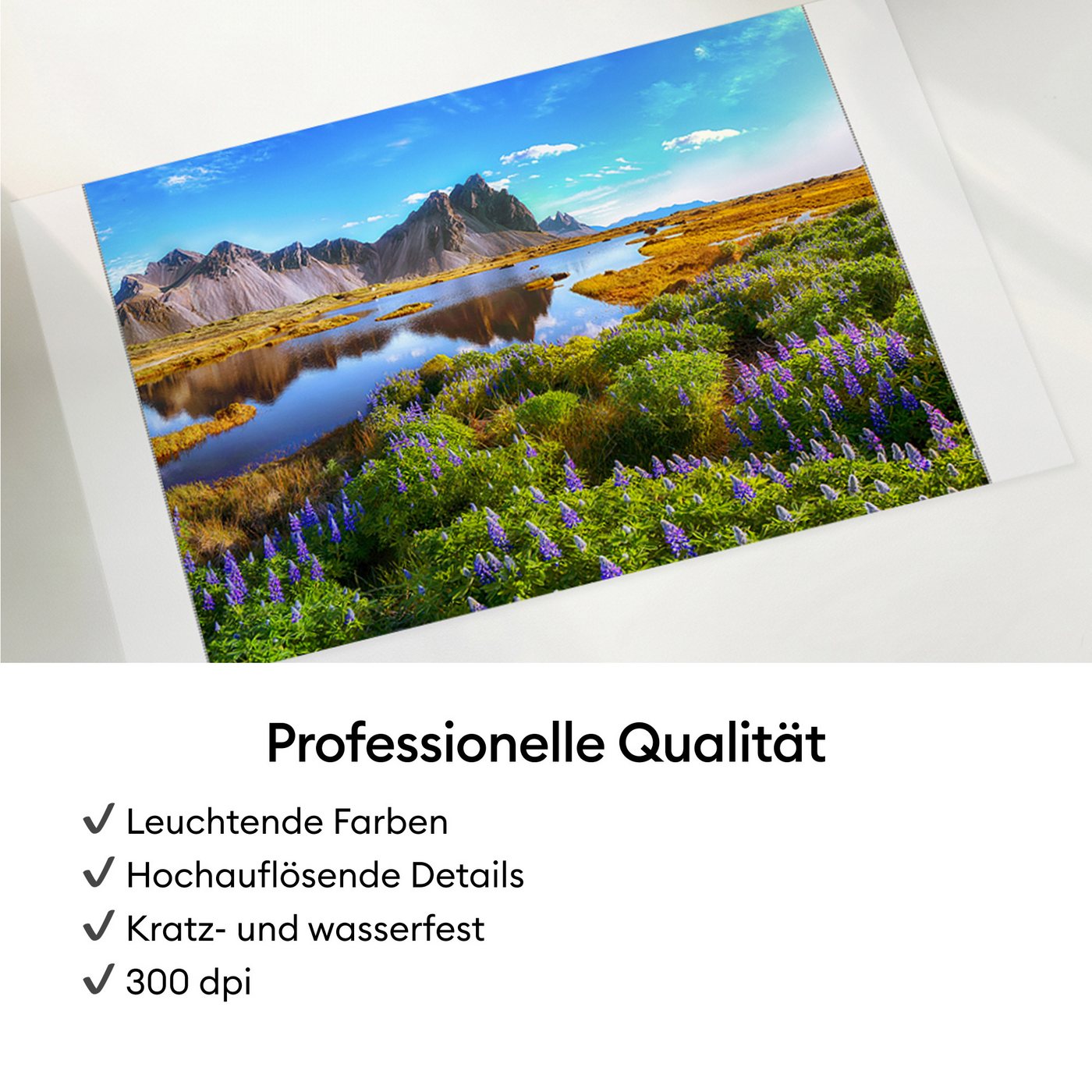 Cricut StickerPix Print™ Essential Bundle Fotodrucker, (Bluetooth) – Bild 5 von 5