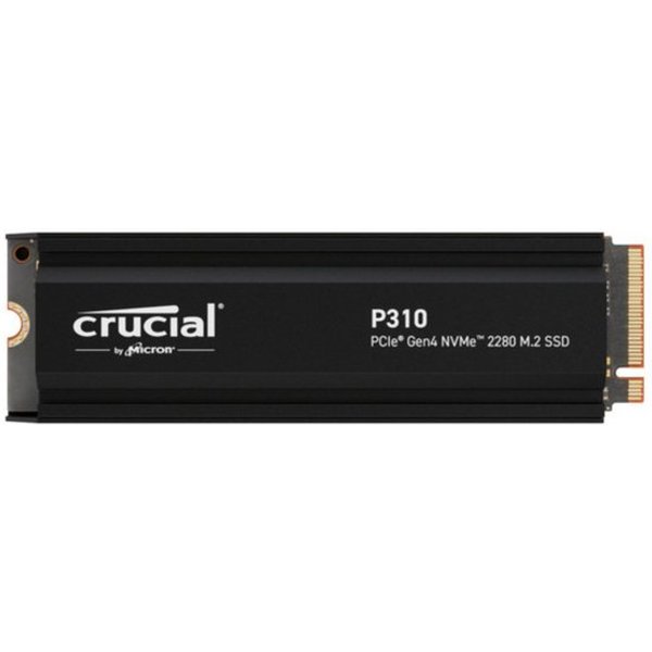 Crucial P310
