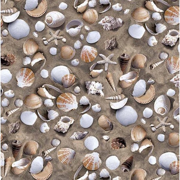 d-c-fix Möbelfolie Venus - selbstklebende Dekofolie Strandmotiv Klebefolie Möbel Küche, Designfolie 150 x 45cm - zuschneidbar und rückstandslos entfernbar