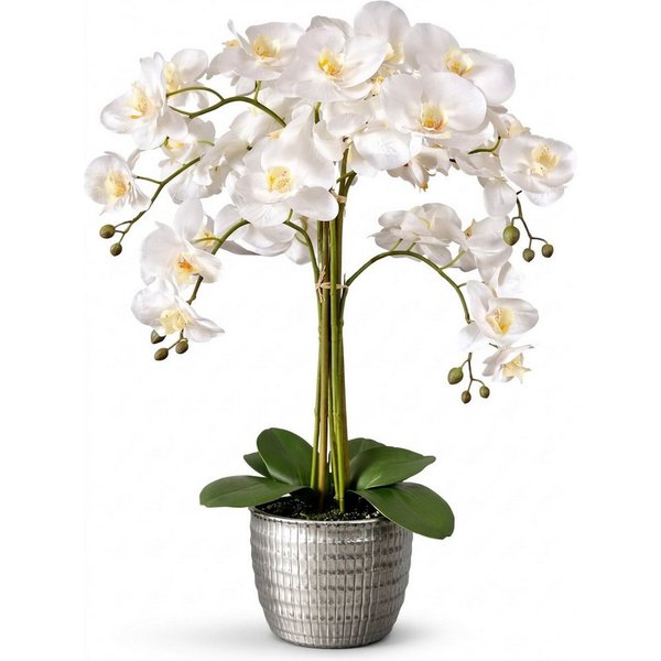Kunstblume Kunstblume Orchidee, weiße Real Touch Blüten in Keramiktopf, ca. 53cm Orchidee Phalaenopsis, Dahlia Studios
