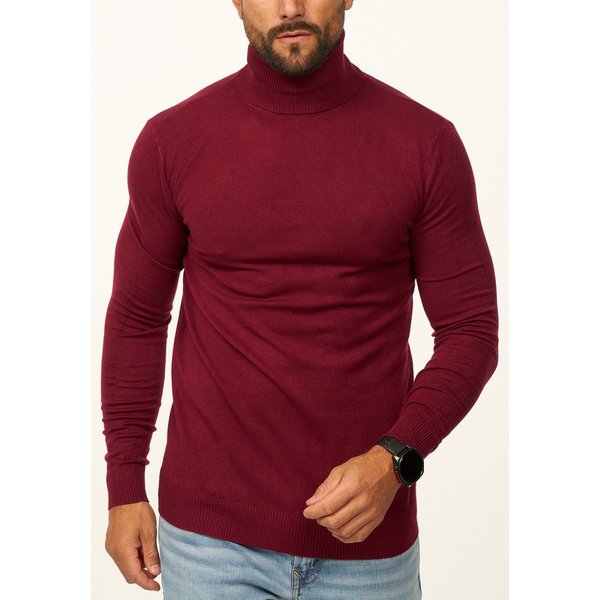 DAILY COTTON Rollkragenpullover als Feinstrick Pulli in Slim Fit für Herren Männer Winterpullover - Casual & Business Look Rolli