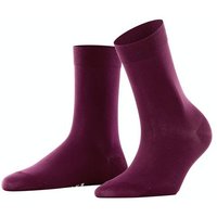 barolo (Damen)
