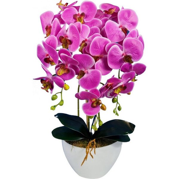 Kunstblume Orchidee, damich, Höhe 60 cm, Künstliche Orchidee 60 cm