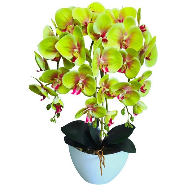Kunstorchidee Orchidee, damich, Höhe 60 cm, Künstliche Orchideenblumen Orchidee grün