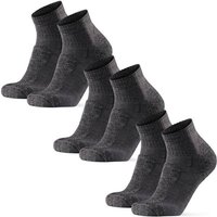 DANISH ENDURANCE Wandersocken Light Hiking Low-Cut, Größe 43-47 in Grau