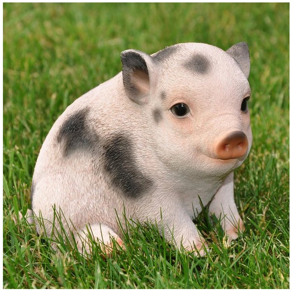 dazikemo Gartenfigur Dekofigur Gartenfigur Schwein / Ferkel