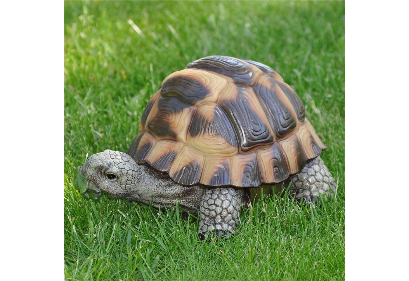 dazikemo Gartenfigur Dekofigur Gartenfigur Teichfigur Schildkröte – Bild 3 von 5