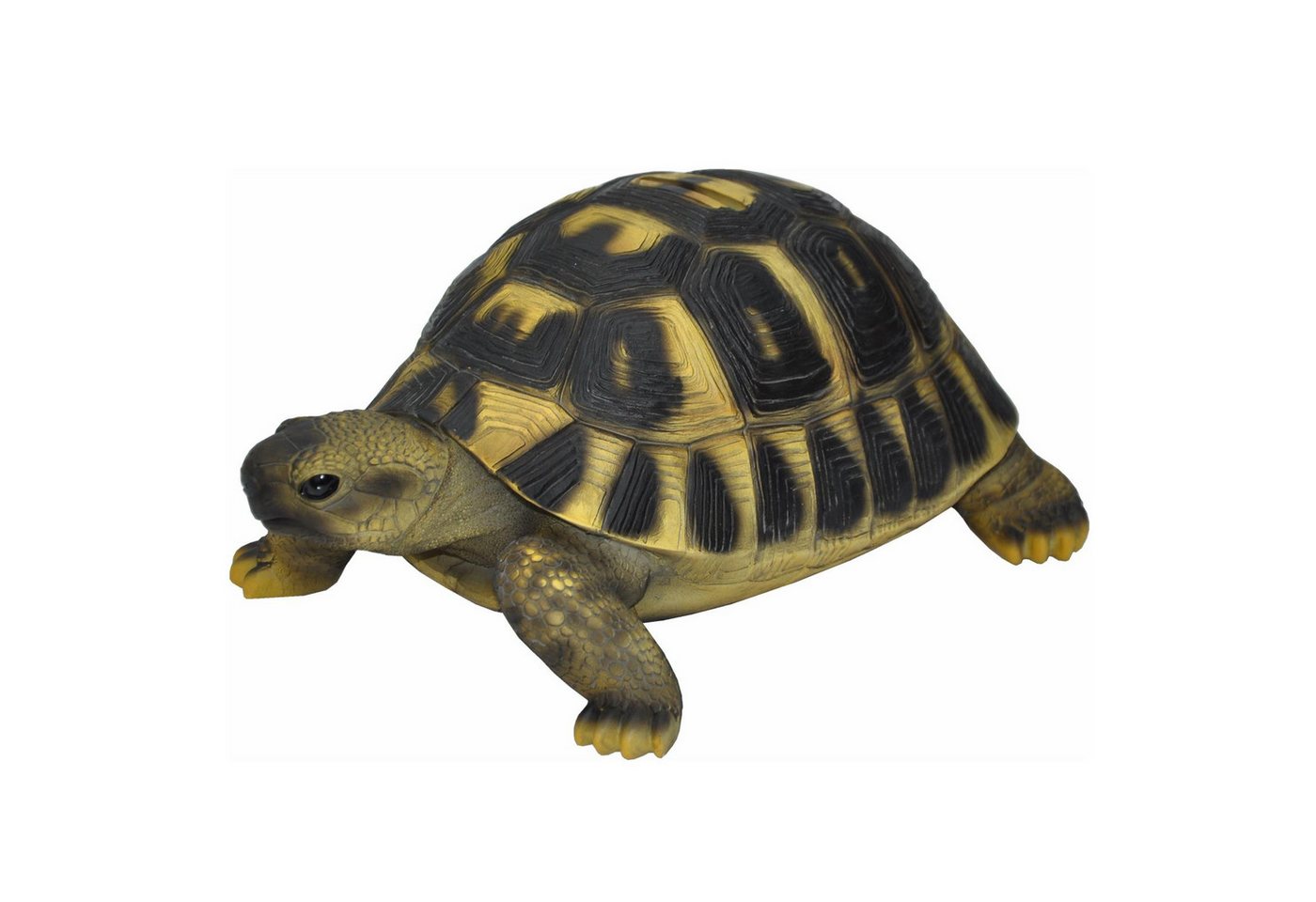 dazikemo Gartenfigur Spardose Sparschwein große Schildkröte – Bild 2 von 5