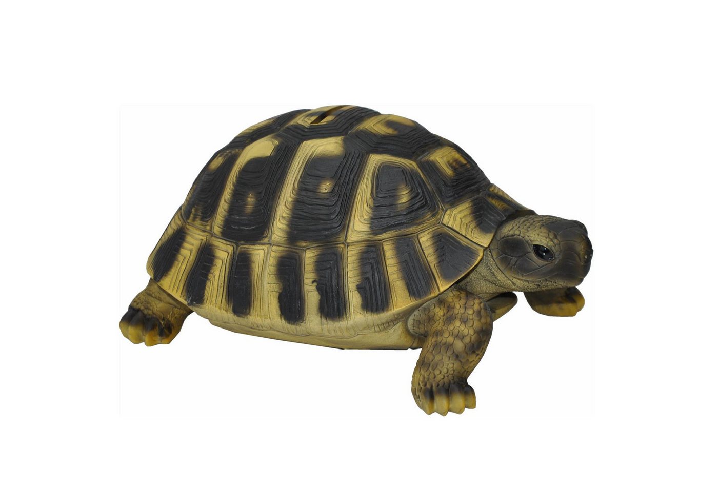 dazikemo Gartenfigur Spardose Sparschwein große Schildkröte – Bild 3 von 5