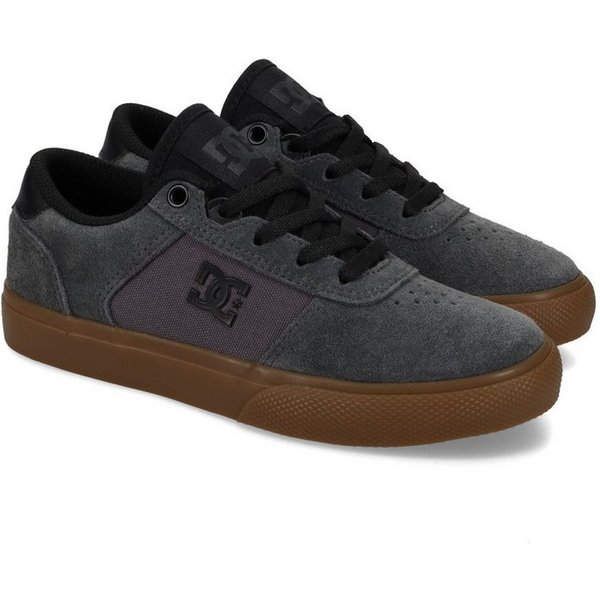 DC Shoes Teknic Sneaker