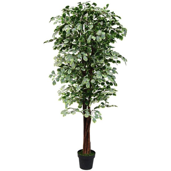 Kunstbaum Ficus Benjamin Kunstpflanze Künstliche Pflanze mit Echtholz 180 cm Ficus Benjamin, Decovego, Höhe 180 cm