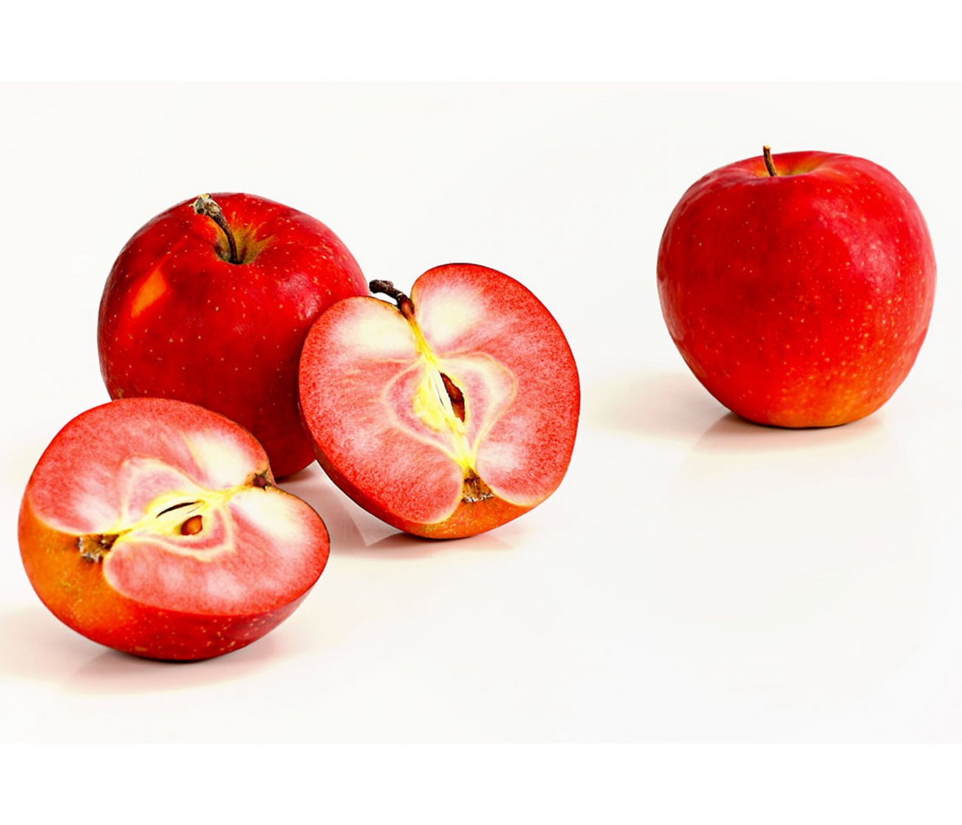 Dehner Apfelbaum Rotfleischiger Apfel Baya Marisa, Malus domestica, ca. 150-200 cm, Apfelbaum mit intensiv rosa Blüten und rotfleischigen Früchten – Bild 3 von 4