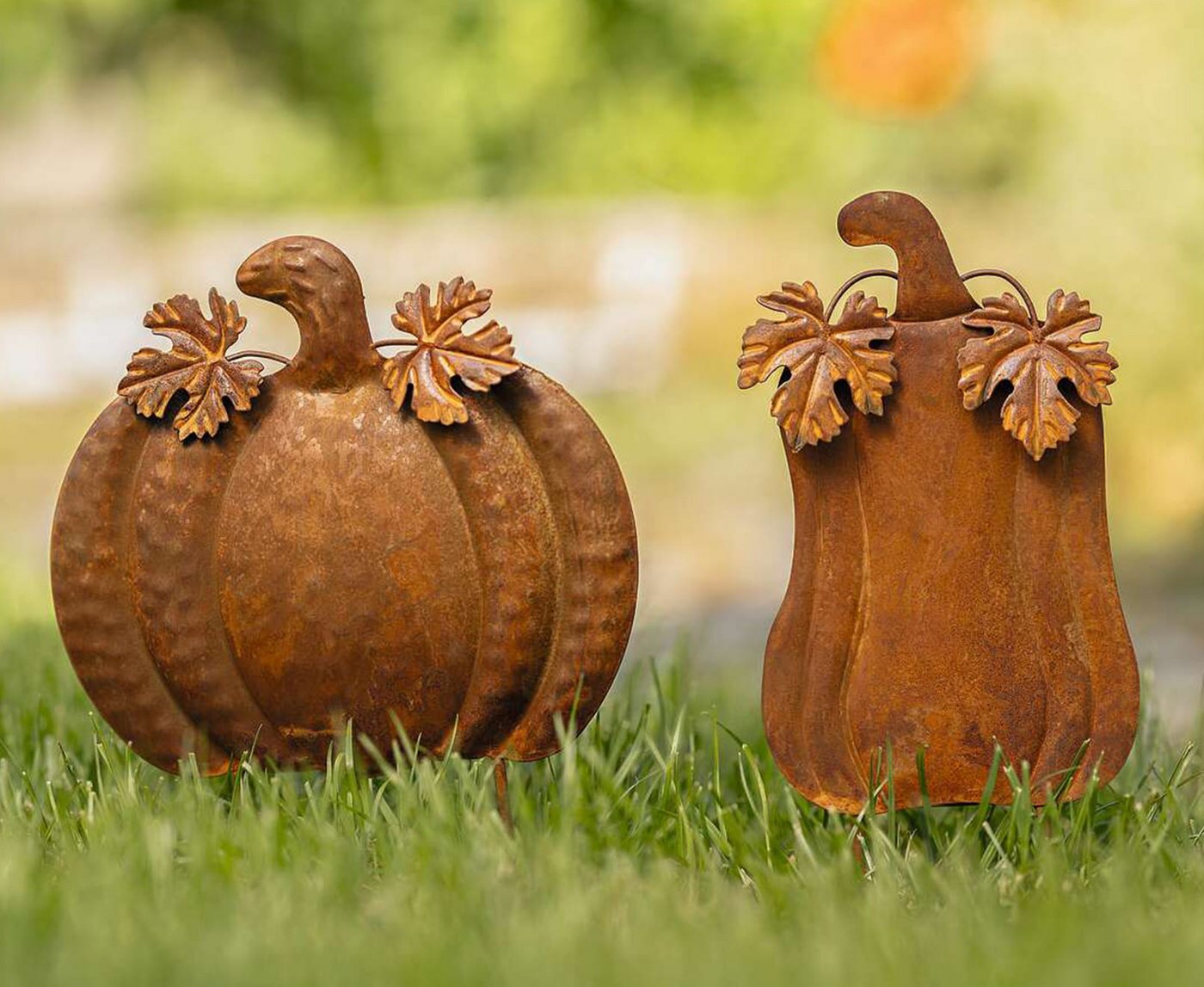 Dekoleidenschaft Gartenstecker "Kürbis" Metall, Rost, Roststecker, Dekostecker, Halloween Herbst Deko (2-St., im Set) Outdoor Deko, Gartendeko für Draußen – Bild 3 von 3