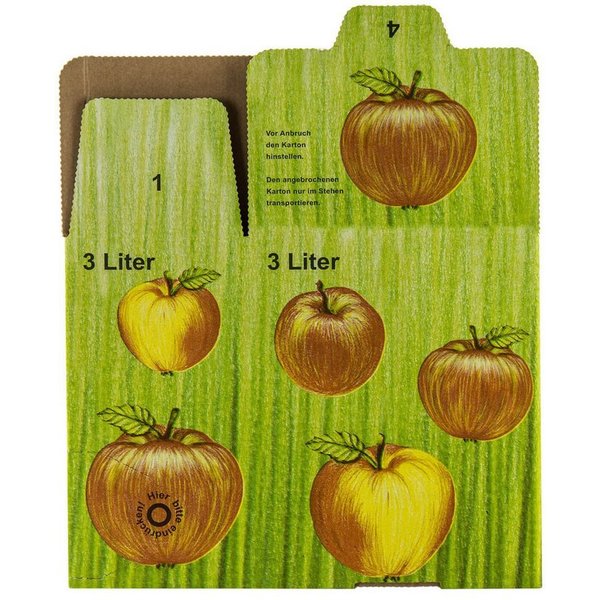 DEMA Entsafter 10x Bag in Box Karton 3L Faltkarton Apfeldekor