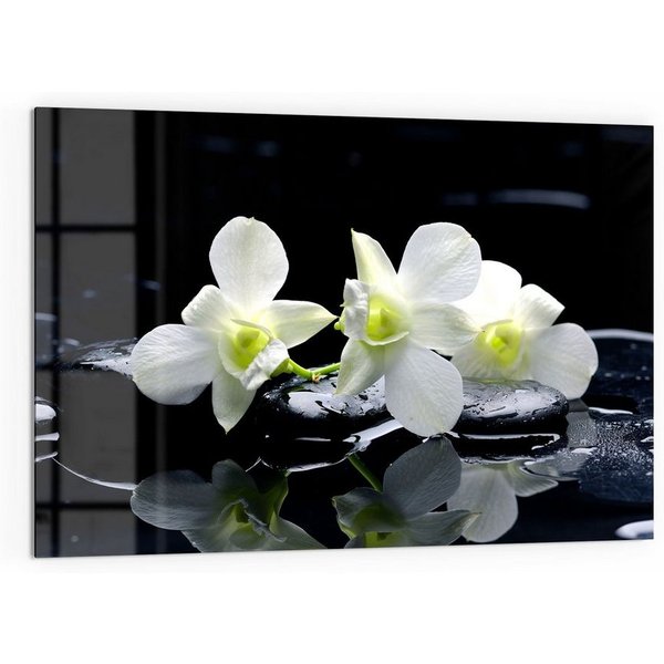 DEQORI Küchenrückwand 'Orchidee mit Zen-Steinen', Glas Spritzschutz Badrückwand Herdblende
