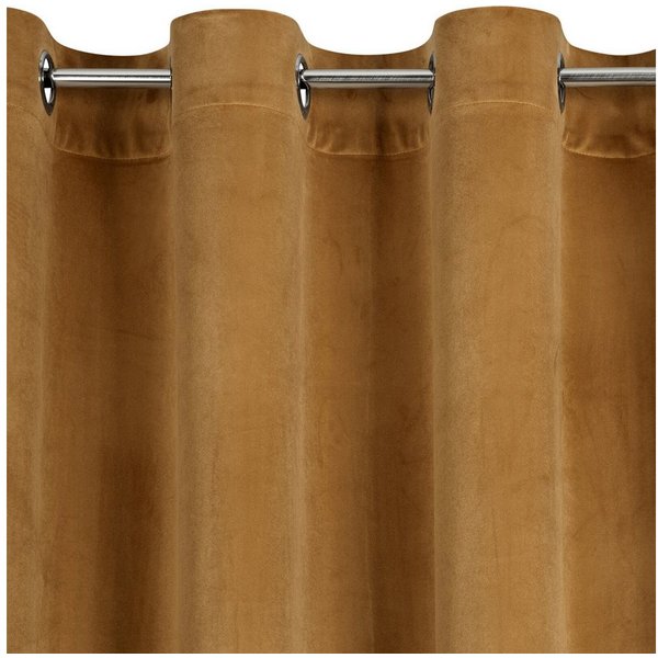 Design91 Vorhang Samtvorhänge 140x250 cm (1 St), Ösen, blickdicht, Samt, Wohnzimmer