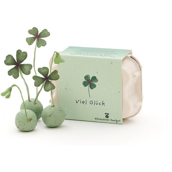 Die Stadtgärtner Blumensamen 6 Saatkugel mit Glücksklee-Saatgut im Mini-Eierkarton, Geschenkidee, Hohe Keimrate, Verlängerte Blütezeit, Organisch