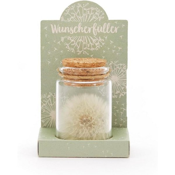 Trockenblume Echte Pusteblume, Toller Wunscherfüller zur Hochzeit, Geburtstag uvm. Löwenzahn, Die Stadtgärtner
