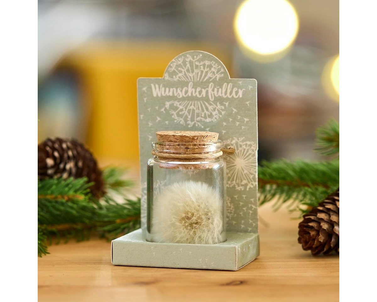 Trockenblume Echte Pusteblume, Toller Wunscherfüller zur Hochzeit, Geburtstag uvm. Löwenzahn, Die Stadtgärtner – Bild 2 von 5