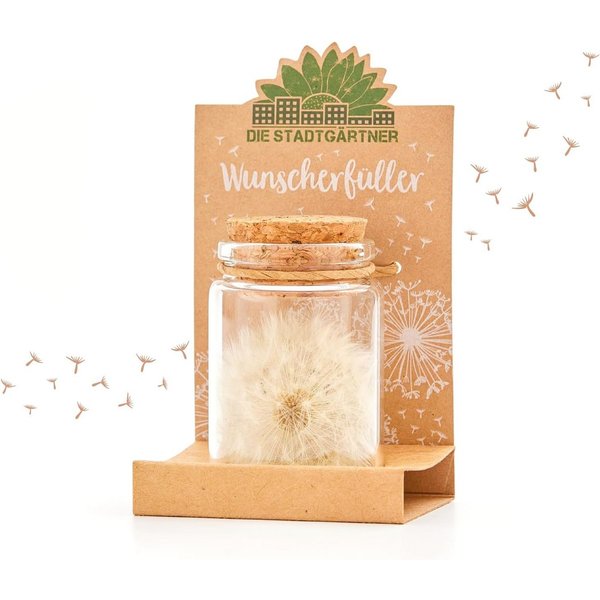 Trockenblume Wunscherfüller, Perfekte Geschenkidee für jeden Anlass Pusteblume, Die Stadtgärtner, Echte Pusteblume