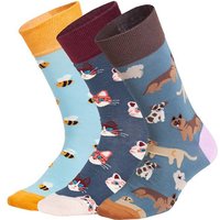 DILLY SOCKS Socken Cute Animal Crew (3er Box), Größe 36/40 in Bunt