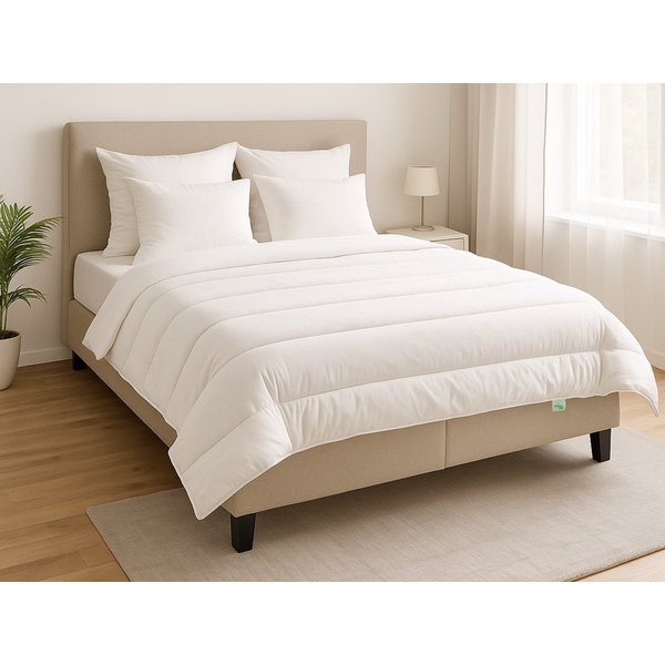 Dreamstar Microfaserbettdecke + Kopfkissen Bettdecke 135x200 oder 155x220 cm mit Kissen 40x80 oder 80x80 cm, Füllung: Faserfüllung, Bezug: Microfaser, Bettwaren