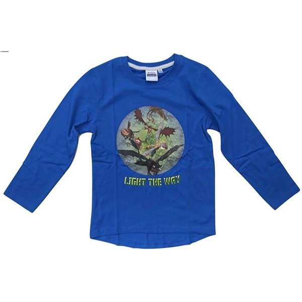 DreamWorks Langarmshirt Dragons Langarmshirt