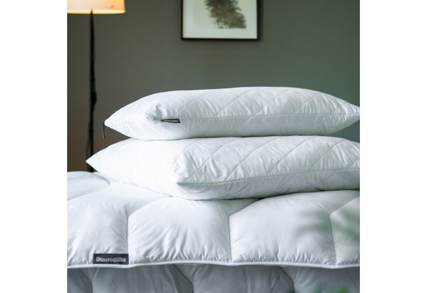 Dunlopillo Microfaserkissen Home, "NEUHEIT" Kissen Allergikerfreundlich, weich & atmungsaktiv, Füllung: Polyester, Bezug: Polyester, Seitenschläfer, Bauchschläf – Bild 5 von 5