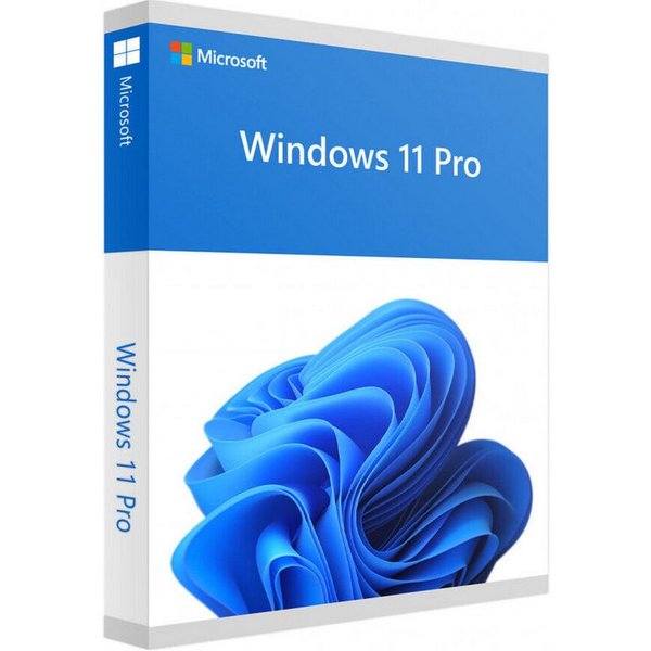 Microsoft DVD-Hülle Microsoft Windows 11 Pro 64bit [DE] DVD