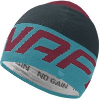 DYNAFIT Herren RADICAL BEANIE, Größe ONE SIZE in Grau