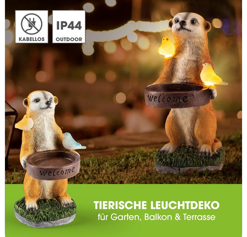 EASYmaxx LED Solarleuchte Erdmännchen als Vogeltränke, Erdmännchen Vogeltränke, Kabellos mit automatischem Tageslichtsensor – Bild 2 von 5