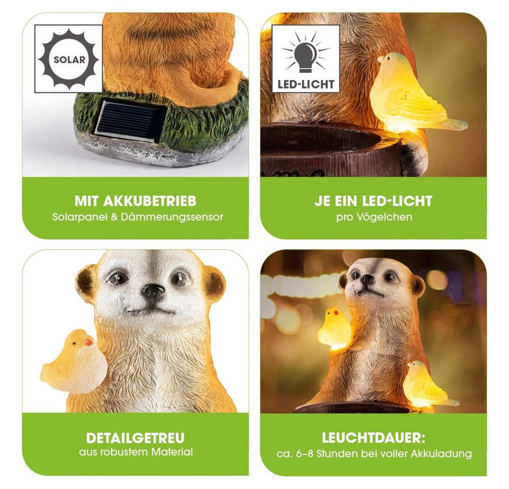 EASYmaxx LED Solarleuchte Erdmännchen als Vogeltränke, Erdmännchen Vogeltränke, Kabellos mit automatischem Tageslichtsensor – Bild 3 von 5