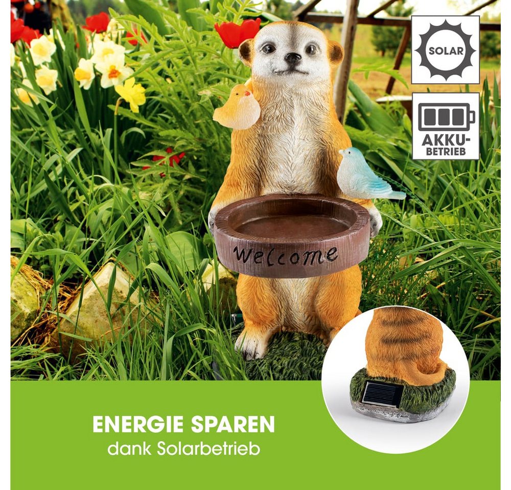 EASYmaxx LED Solarleuchte Erdmännchen als Vogeltränke, Erdmännchen Vogeltränke, Kabellos mit automatischem Tageslichtsensor – Bild 5 von 5