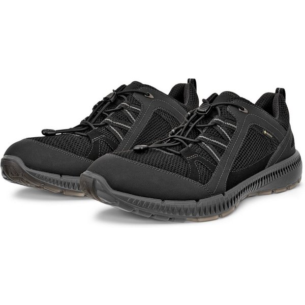 Ecco TERRACRUISE 2 M Sneaker mit GORE-TEX