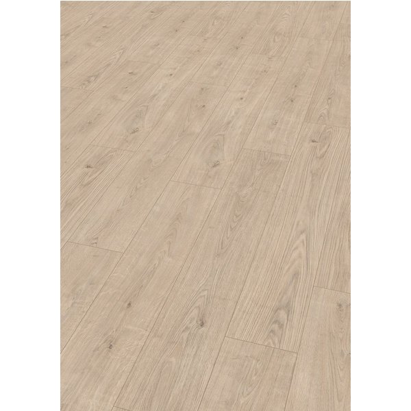 EGGER Laminat Promo NL1031 Berdal Eiche hell, (8mm, 1,995qm), Praktisch & Pflegeleicht