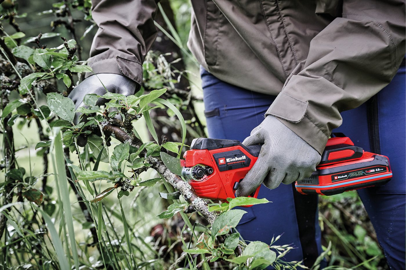 Einhell Akku-Astschere »»GP-LS 18/28 Li T BL-Solo««, ohne Akku, ohne Ladegerät – Bild 2 von 5