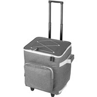 Einkaufstrolley mit Kühlfunktion