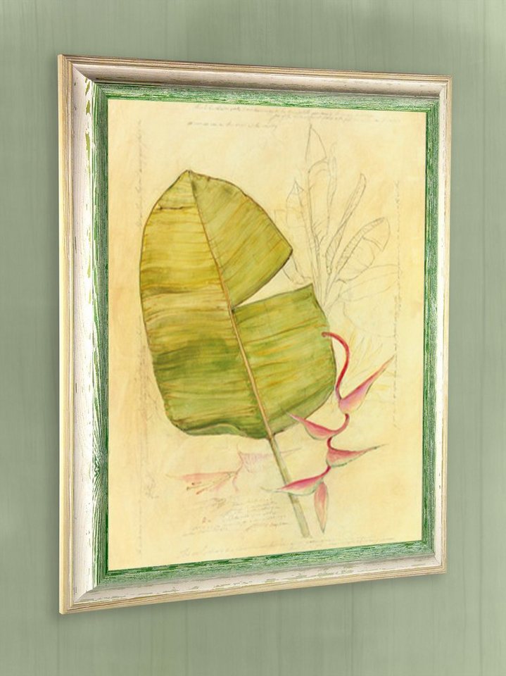 Einzelrahmen Bilderrahmen Amalfi, (1 Stück), 50x70 cm, Grün Weiß Vintage, Holz – Bild 2 von 5