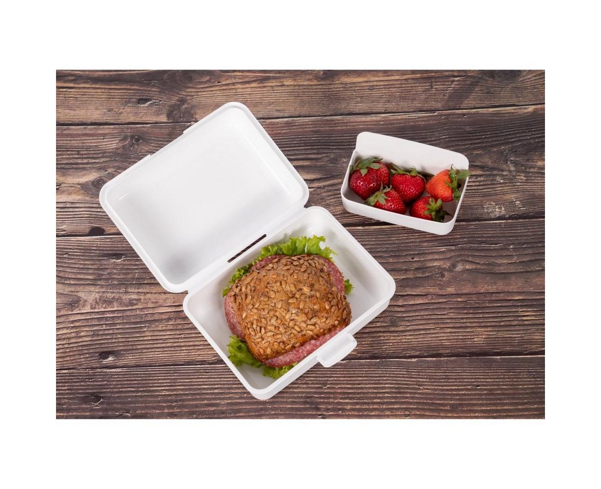 elasto Lunchbox Vorratsdose "School-Box" groß – Bild 5 von 5