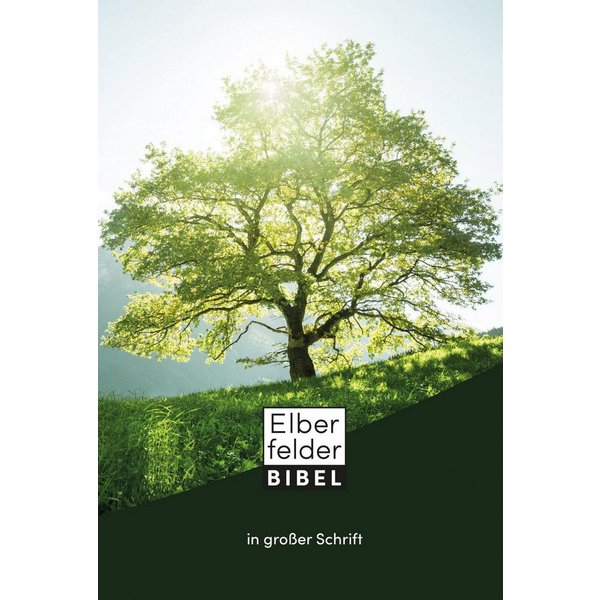 Elberfelder Bibel in großer Schrift / diverse