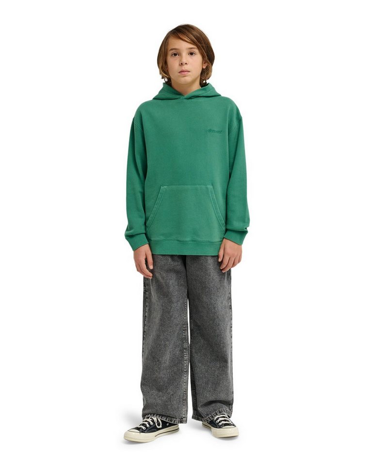 Element Kapuzensweatshirt Cornell 3.0 – Bild 5 von 5