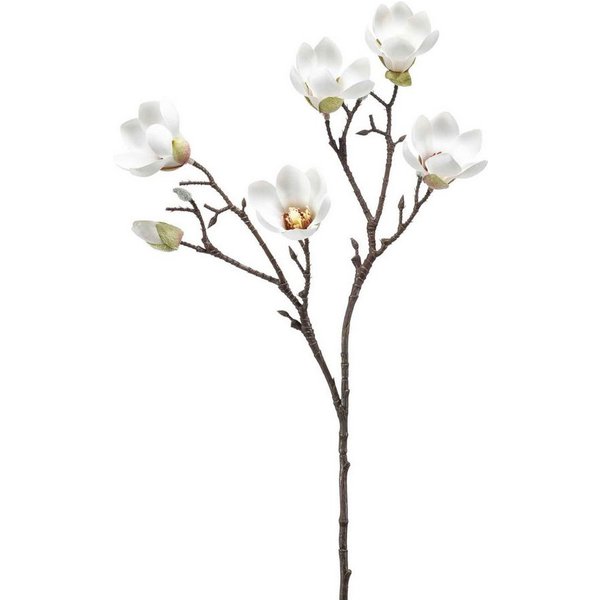 Kunstblume Blütenzweig Magnolie, Emerald, Höhe 65 cm, Farbe: Weiß