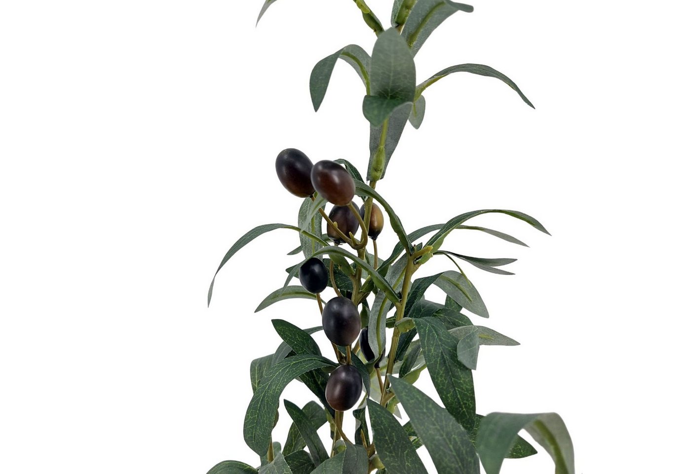 Kunstpflanze Olive, Emerald, Höhe 75 cm, Farbe: Grün – Bild 3 von 5