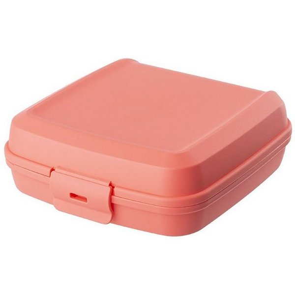 Engelland Lunchbox Brotdose mit Klickverschluss, Kunststoff (BPA-frei), (Vorteils-Set, 1-tlg., Ideal für Schule, Kindergarten und Arbeit), BPA frei, robuster Ku